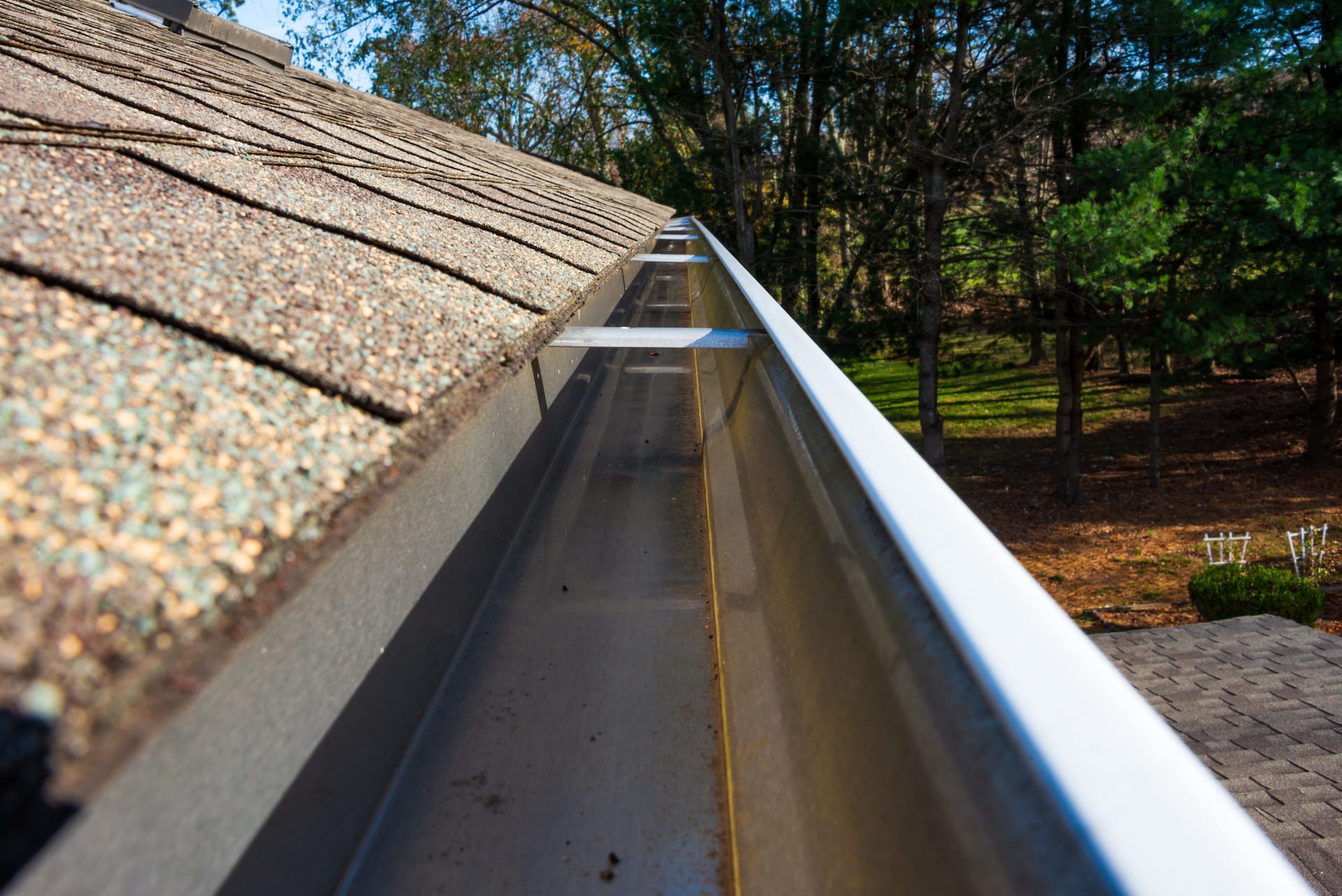 Lutz Gutter Cleaning Near Me