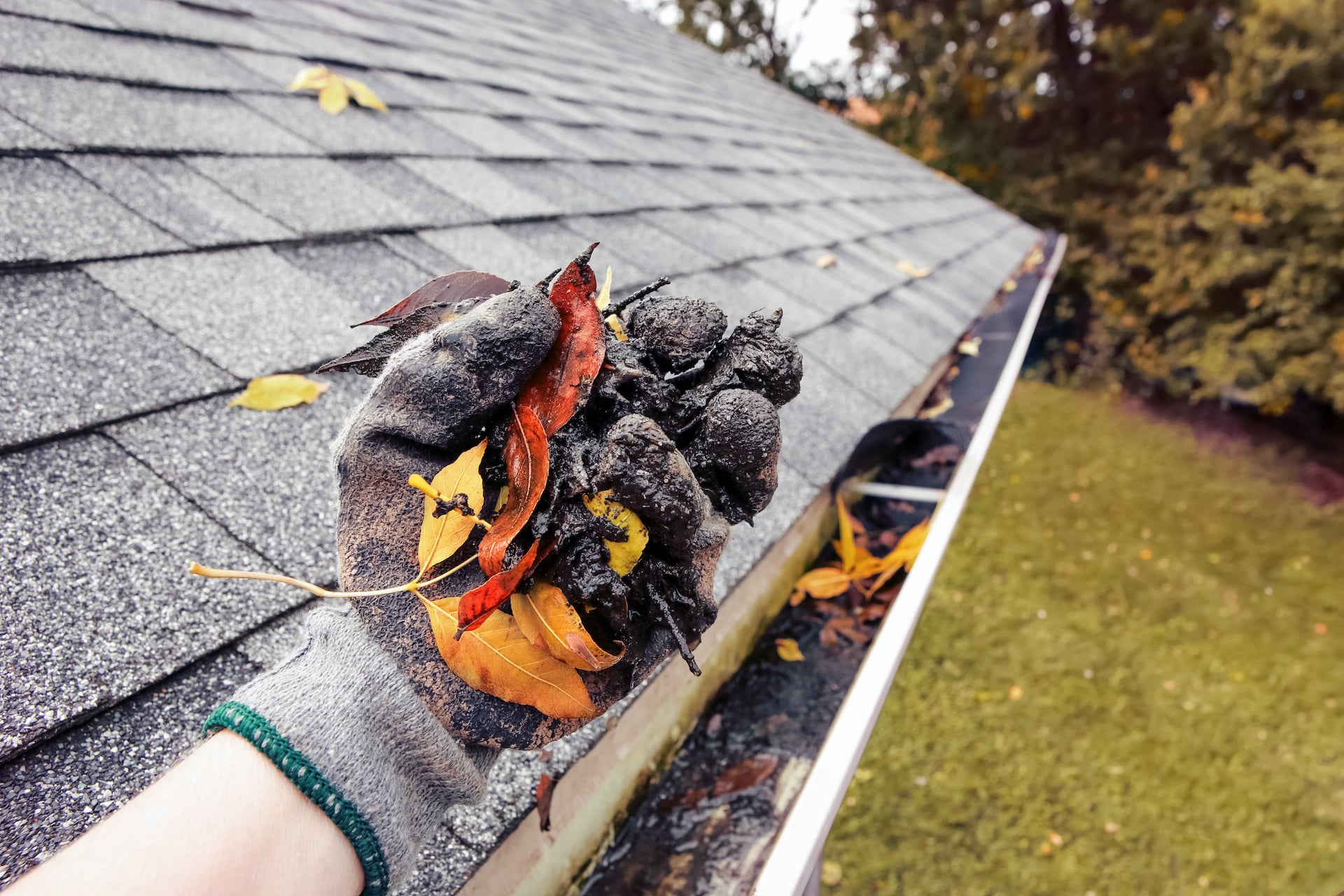 Rain Gutter Cleaning Service